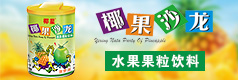 佛山市椰星食品饮料有限公司